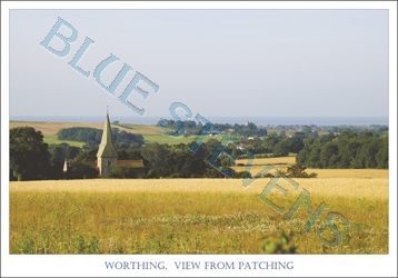Worthing View from Patching